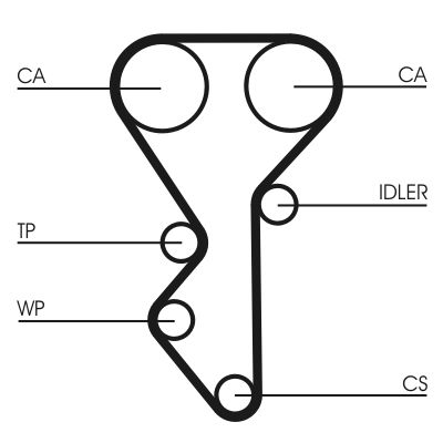 Ozubený remeň CONTINENTAL CTAM CT955