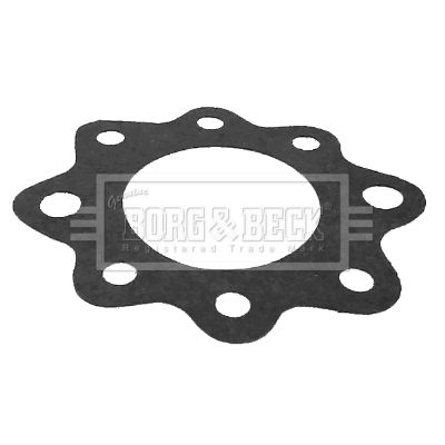 Termostat, środek chłodzący BORG & BECK BG065