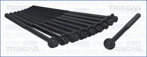 Zestaw śrub głowicy cylindrów TRISCAN 98-5500