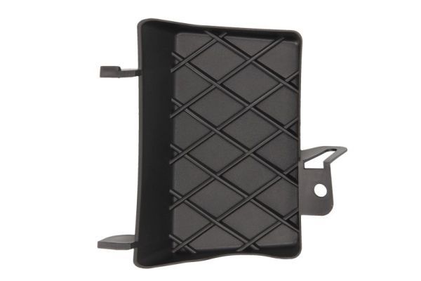 acoperire tampon,sistem de remorcare BLIC 5513-00-3206921PP