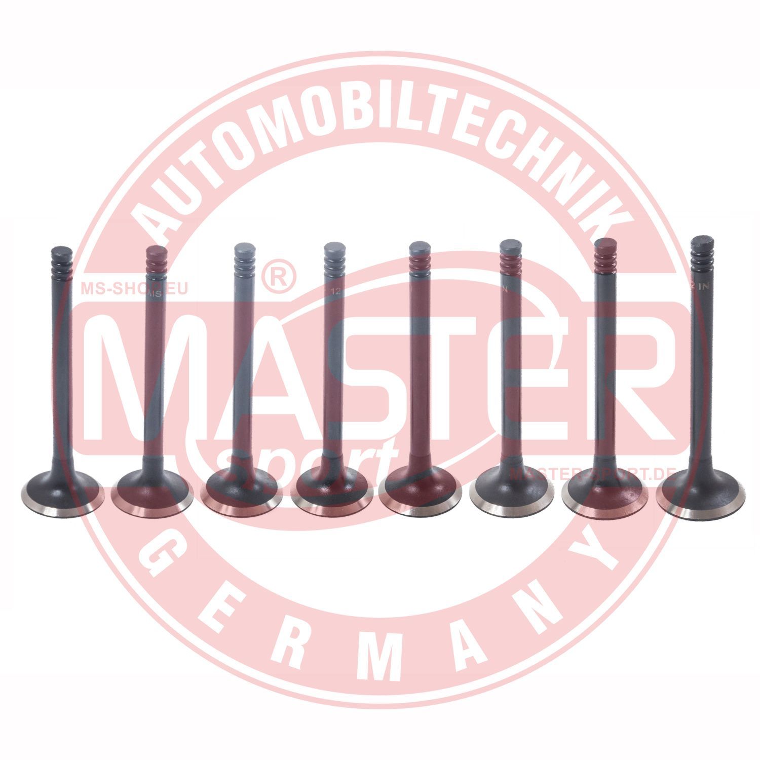 Zawór dolotowy MASTER-SPORT GERMANY 12IN-SET/8/-MS