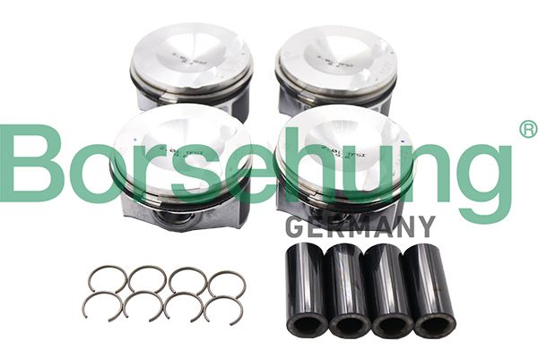 Borsehung B13574