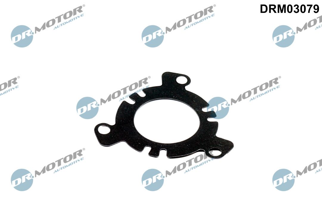 Pierścień uszczelniający, pompa wtryskowa DR.MOTOR AUTOMOTIVE DRM03079