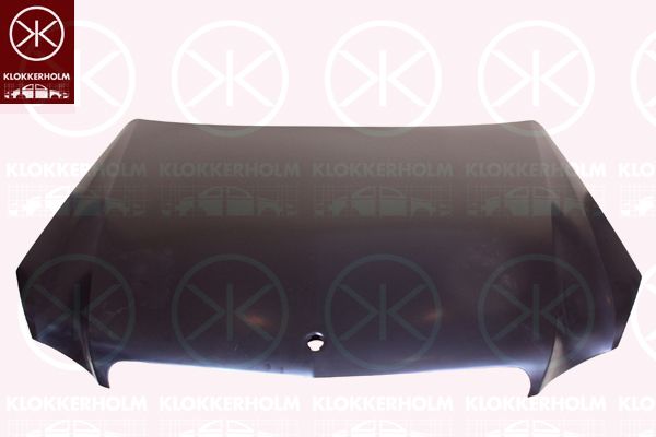 Pokrywa komory silnika KLOKKERHOLM 3529281
