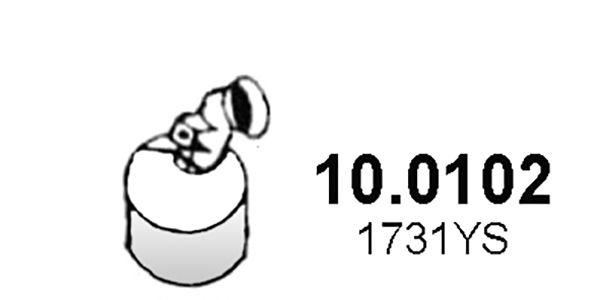 Katalizator ASSO 10.0102