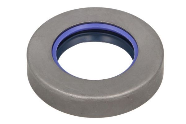 Garnitura, diferential BTA B06-2271