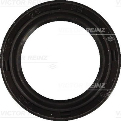 Simering, arbore cotit VICTOR REINZ 81-53217-00