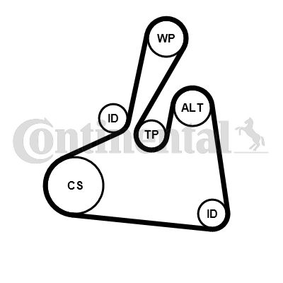 Zestaw paska klinowego wielorowkowego CONTINENTAL CTAM 6PK1502 EXTRA K2