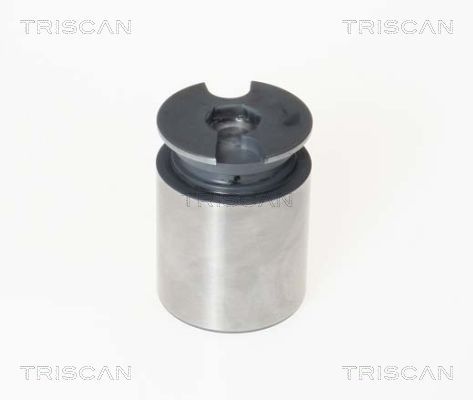 Tłoczek, zacisk hamulca TRISCAN 8170 233863