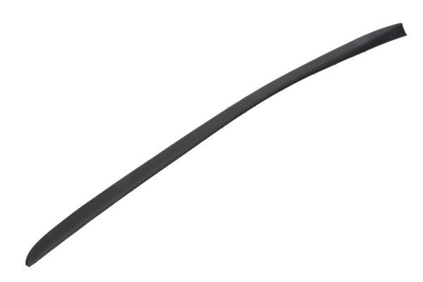 Elemente decorative/protectie, parbriz BLIC 5703-04-6037377Q