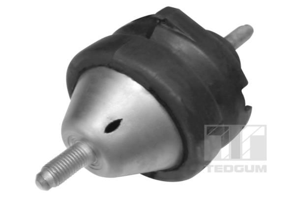 Łożyskowanie silnika TEDGUM 01296915