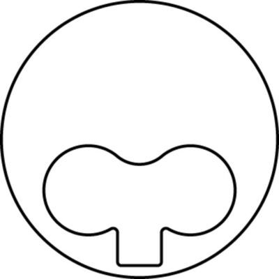 Tłok MAHLE 009 38 00