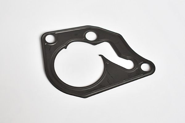 Garnitura, pompa vacuum ASAM AUTOMOTIVE 55046