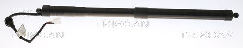Amortizor portbagaj TRISCAN 8710 13301