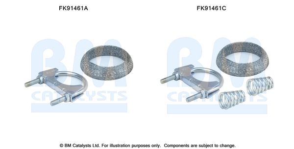 Zestaw montażowy, katalizator BM CATALYSTS FK91461