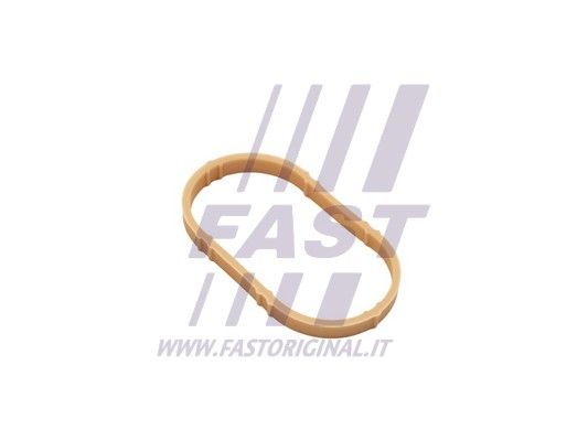 Uszczelka, kolektor dolotowy FAST FT49461