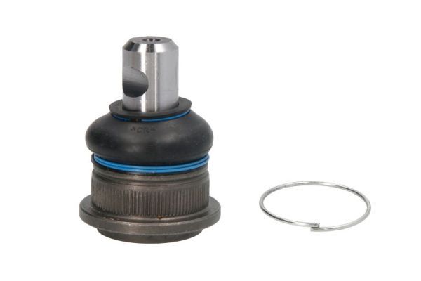 Pivot REINHOCH RH03-2023