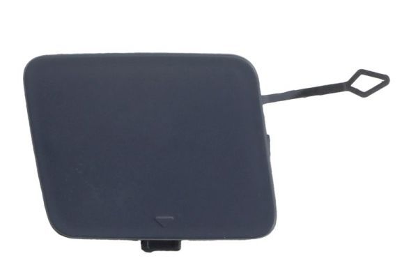 acoperire tampon,sistem de remorcare BLIC 5513-00-0081920P