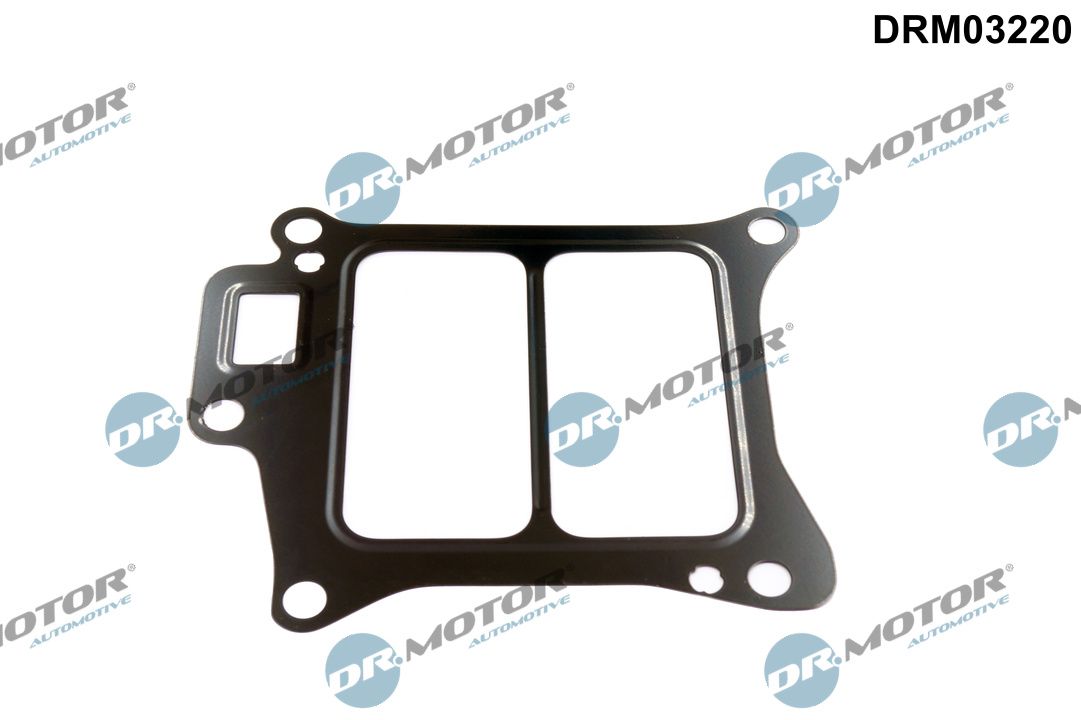 Garnitura, ventil AGR Dr.Motor Automotive DRM03220