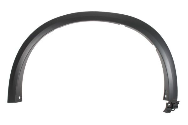 Ehis-/kaitseliist,Poritiib