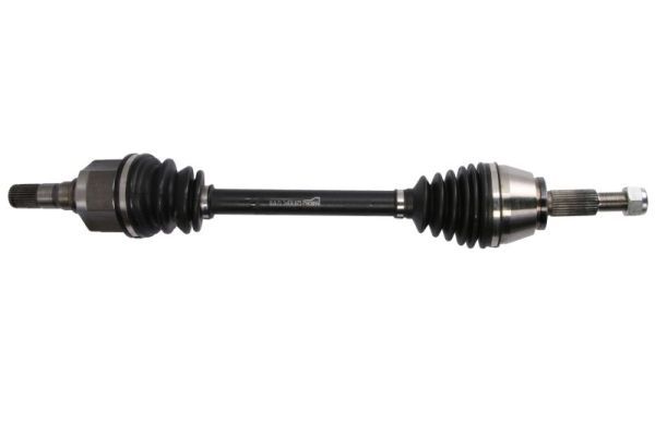 Planetara PASCAL G2R163PC