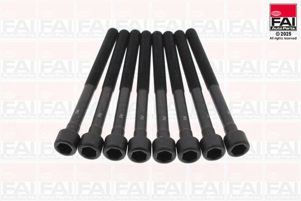 Set surub, chiulasa FAI AutoParts B2301