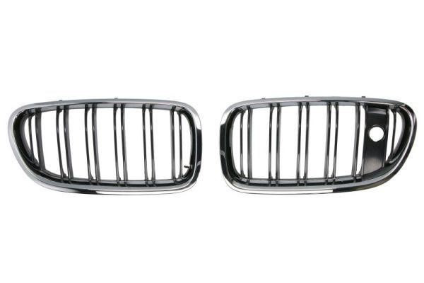 Grila radiator BLIC 6502-07-0067996KP