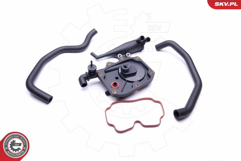 Set reparatie, aerisire baie ulei ESEN SKV 31SKV100