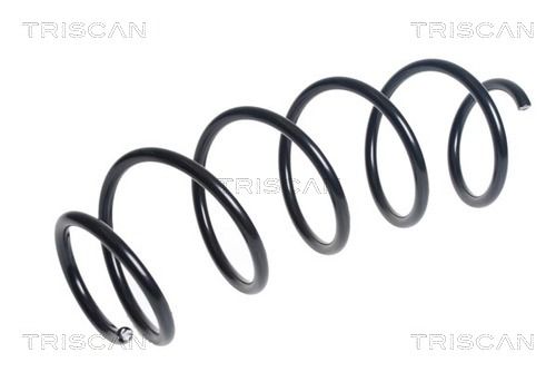 Arc spiral TRISCAN 8750 28287