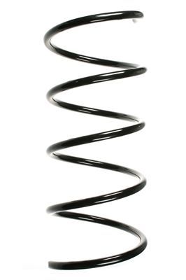 Arc spiral SPIDAN 85193