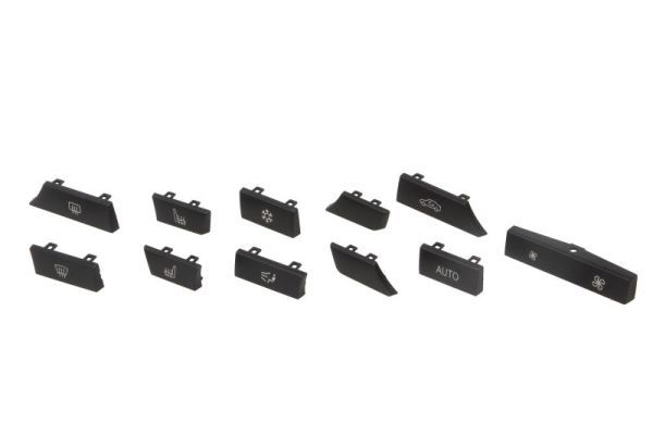 element de control,aer conditionat BLIC 1000-00-0067110SP