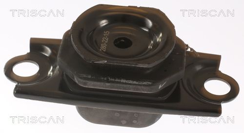 Łożyskowanie silnika TRISCAN 8505 25123