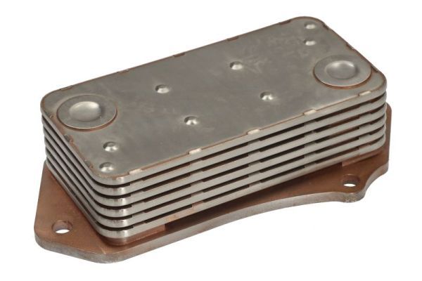 Radiator ulei, ulei motor THERMOTEC D2AG029TT