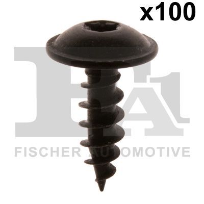 Surub FA1 11-70020.100