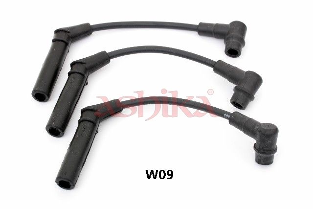 Set cablaj aprindere ASHIKA 132-0W-W09