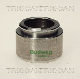 Tłoczek, zacisk hamulca TRISCAN 8170 234018