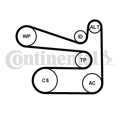 Zestaw paska klinowego wielorowkowego CONTINENTAL CTAM 6PK1693K1