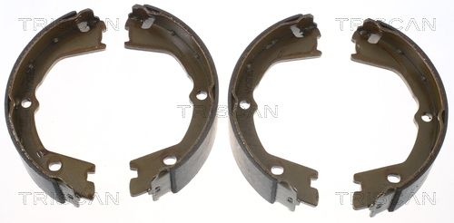 Zestaw szczęk hamulcowych, hamulec postojowy TRISCAN 8100 15019
