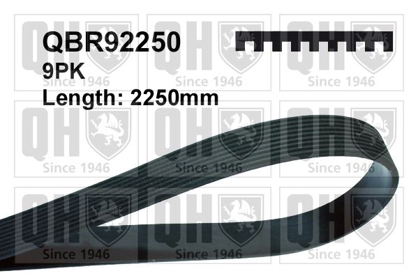 Pasek klinowy wielorowkowy QUINTON HAZELL QBR92250