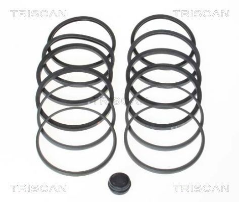 Zestaw naprawczy, zacisk hamulca TRISCAN 8170 204602