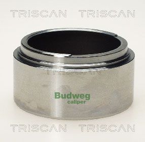 Tłoczek, zacisk hamulca TRISCAN 8170 236005