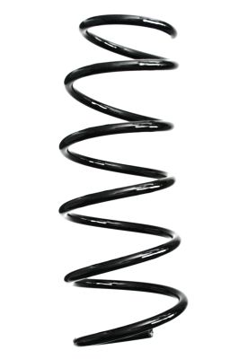 Arc spiral SPIDAN 88242