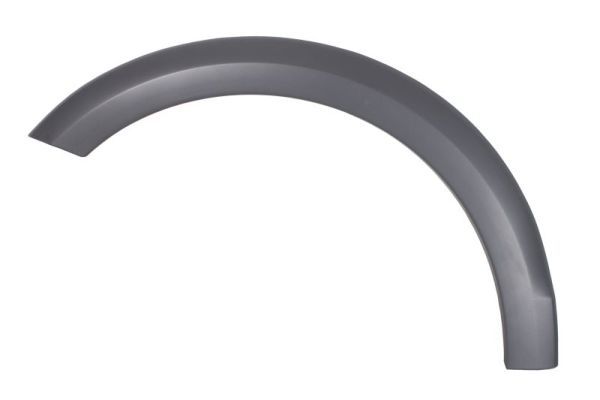 Ehis-/kaitseliist,Poritiib