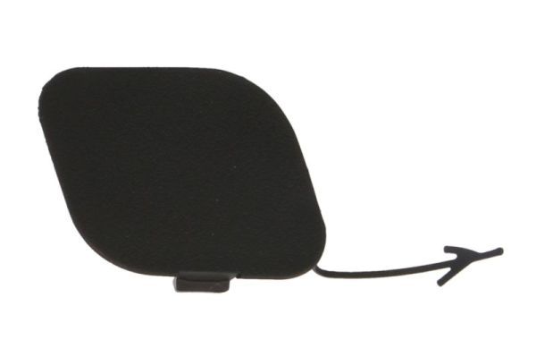 acoperire tampon,sistem de remorcare BLIC 5513-00-3082922P