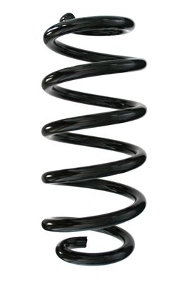 Arc spiral SPIDAN 86963