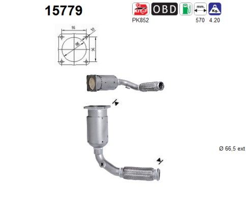 Catalizator AS 15779