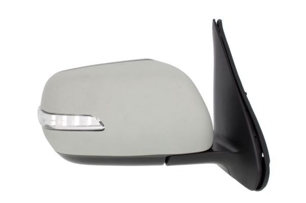 Oglinda exterioara BLIC 5402-18-2002418P