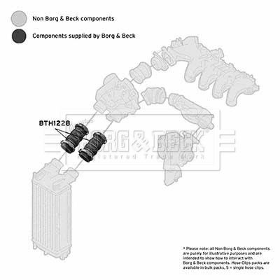 Przewód powietrza doładowującego BORG & BECK BTH1228