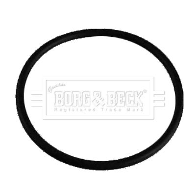 Termostat, środek chłodzący BORG & BECK BG042