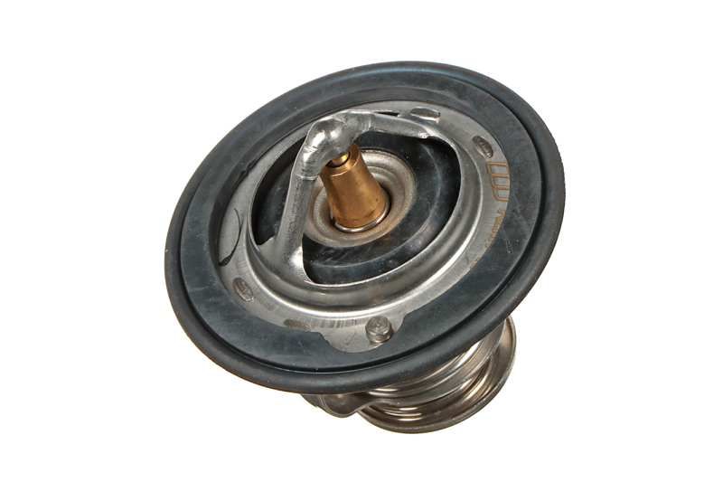 V55-99-0001 THERMOSTAT D EAU